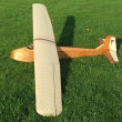 EL-1 �ed� vlk